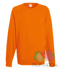 �������� �������� ����� FOL ����� Lightweight Reglan Sweat ID10