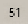 51-Ice Gray